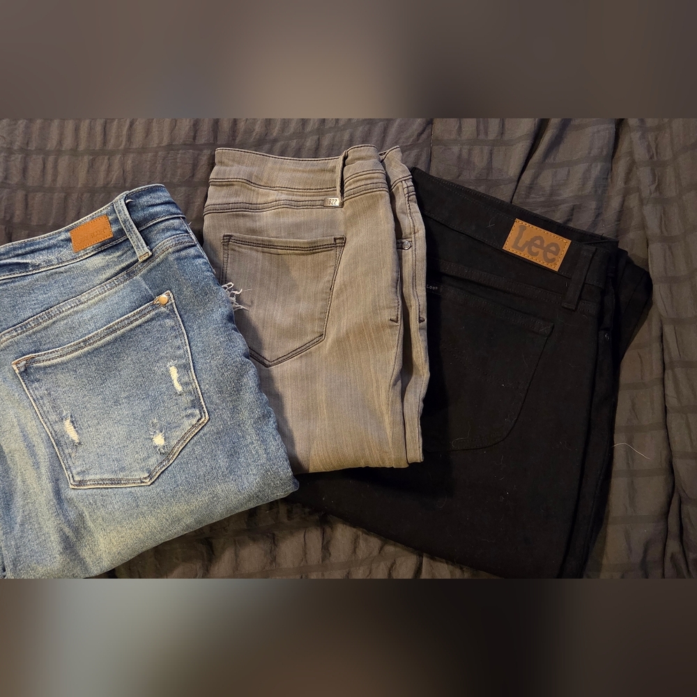 Lee, Judy Blue And 1822 Women's Jeans Trio - Black, Gray, Blue Bundle #20